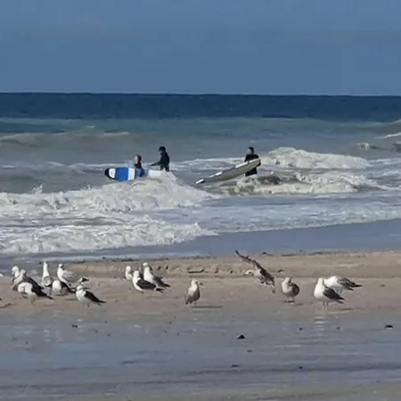 Duenenhof-zum-kronprinzen-app-53 Wenningstedt-Braderup (Sylt)