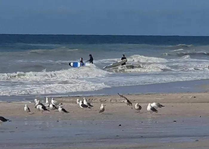 Duenenhof-zum-kronprinzen-app-53 Wenningstedt-Braderup (Sylt)